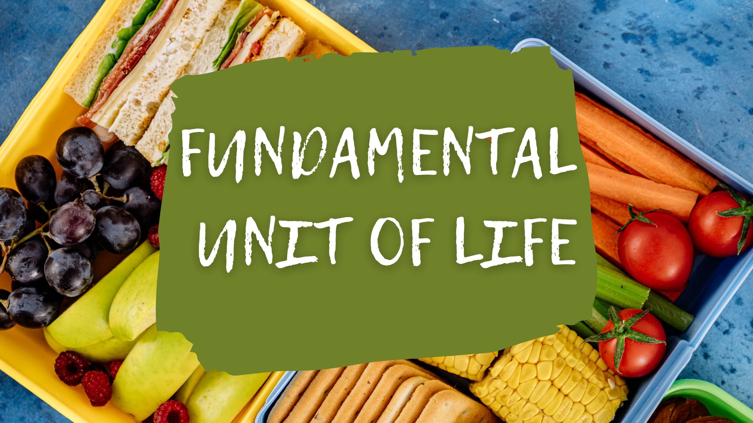 Fundamental Unit Of Life