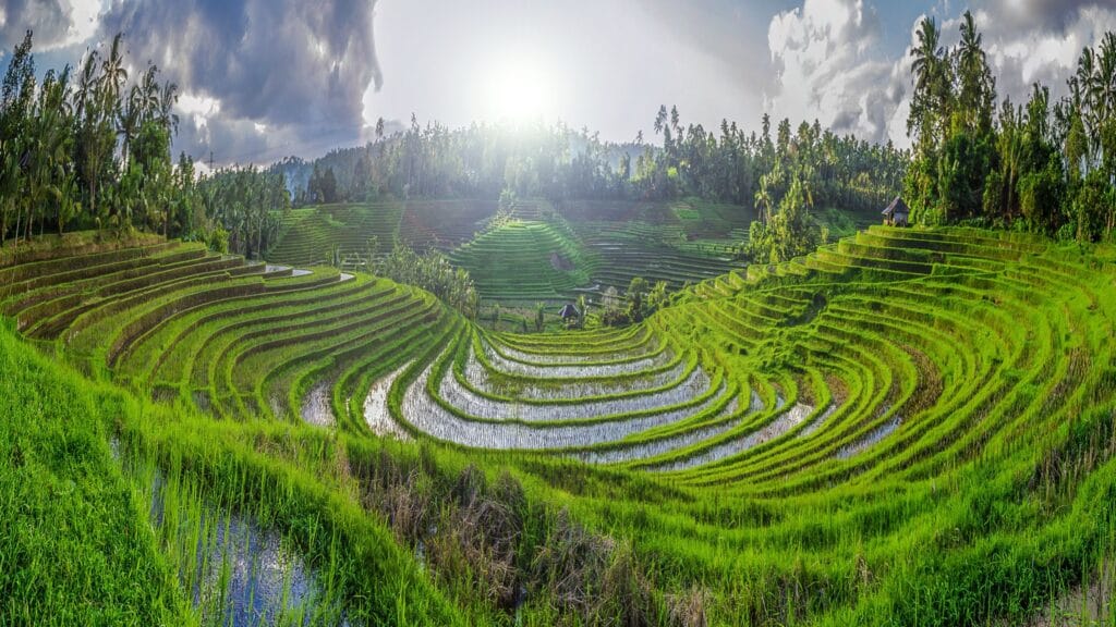 Physical Features Of India