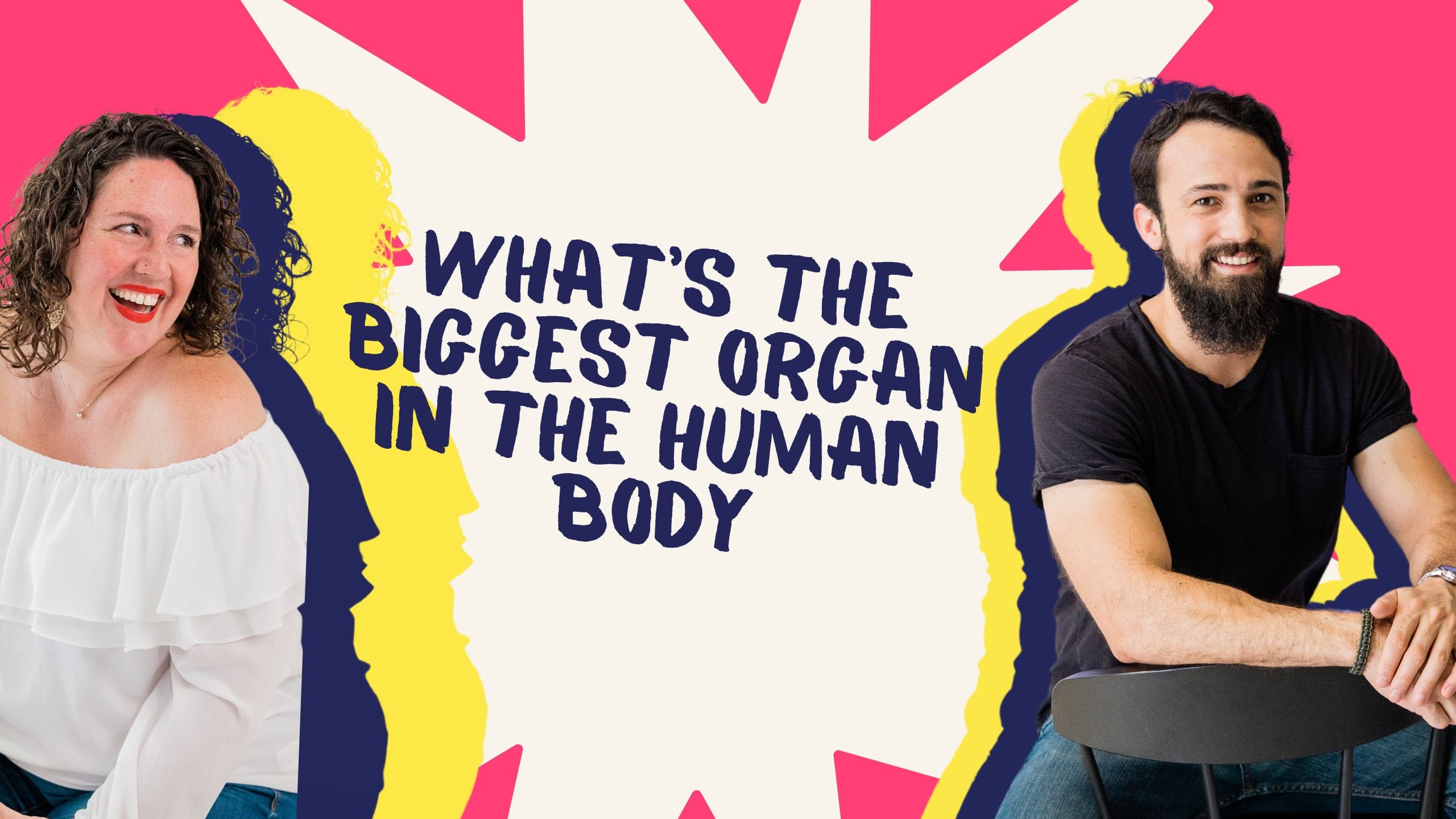 What's The Biggest Organ In The Human Body