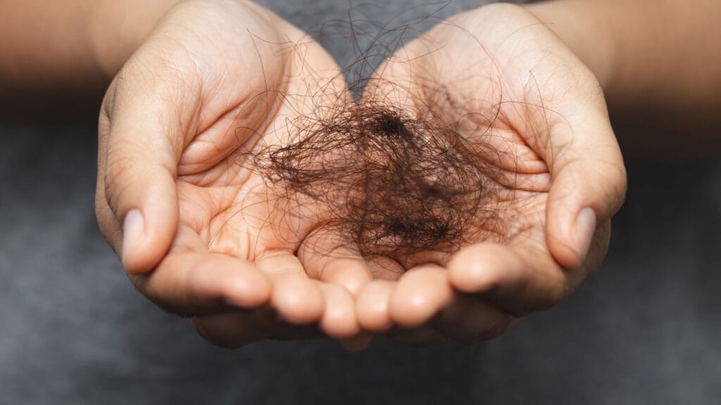 Hair Fact Kit Male