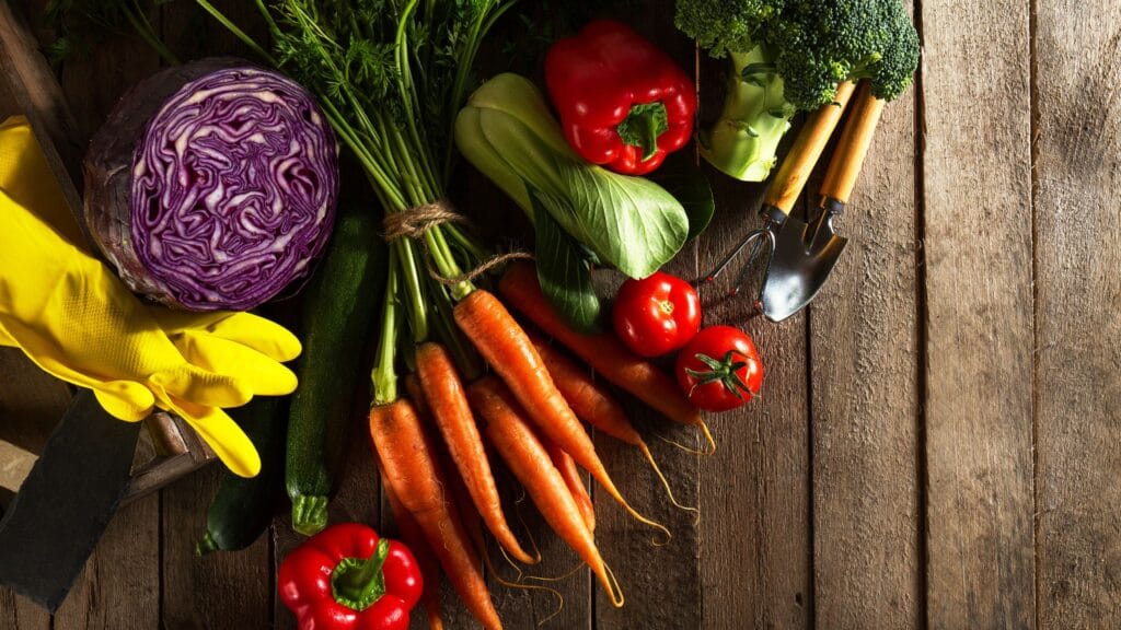 Well Health Organic Fitness Tips