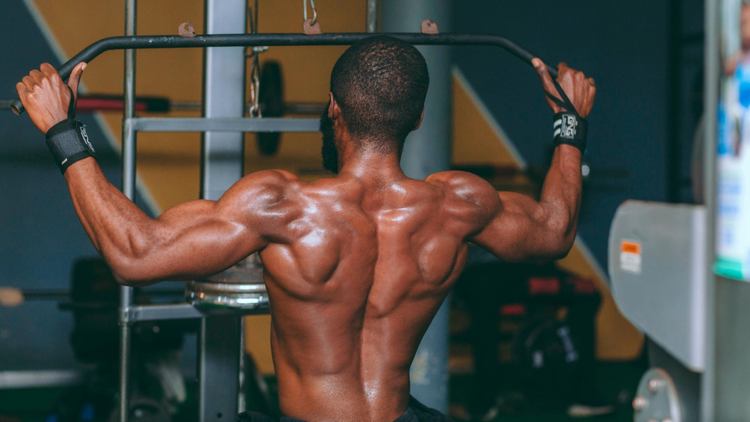 Shoulder Exercises In Gym